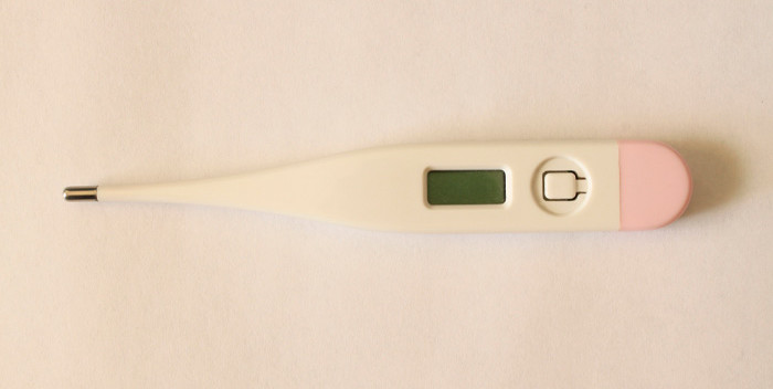 monitoring ovulation with a thermometer